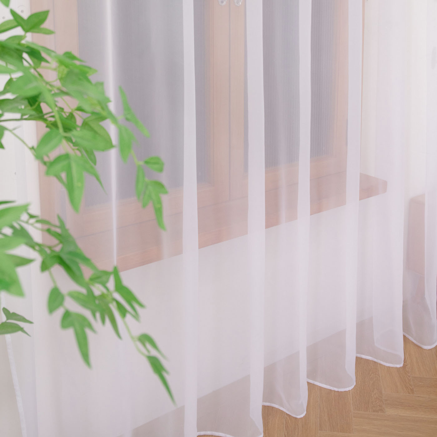 ستارة بيضاء شفافة، ستائر بلون  - مراجعة Home Decor Pt وسعره