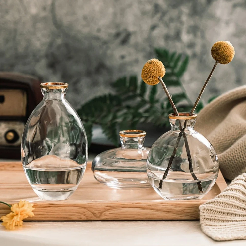 مزهرية زجاجية شفافة إسكندنافية - مراجعة Glass Vase Nordic وسعره