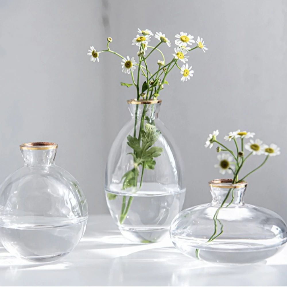 مزهرية زجاجية شفافة إسكندنافية - مراجعة Glass Vase Nordic وسعره