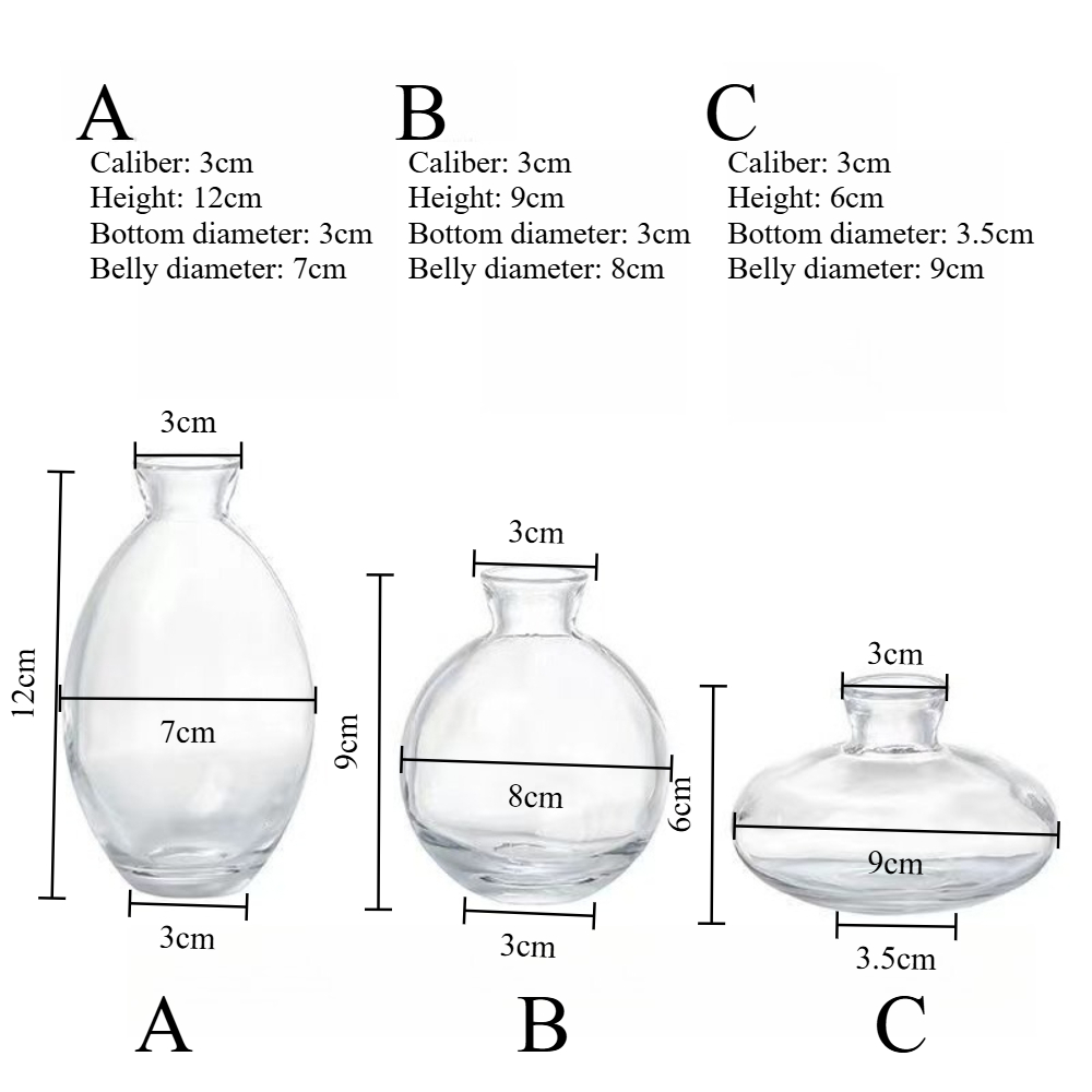 مزهرية زجاجية شفافة إسكندنافية - مراجعة Glass Vase Nordic وسعره