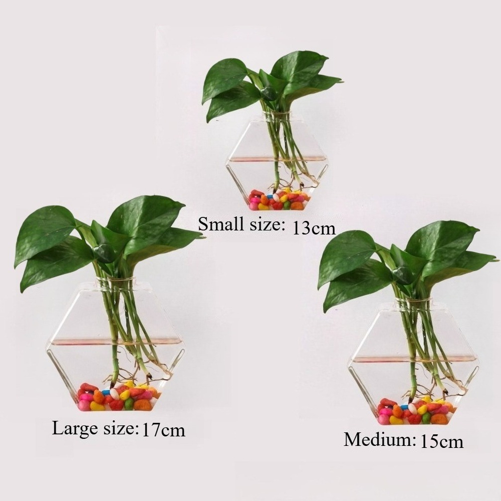 وعاء زجاجي مبتكر غير منتظم الش - مراجعة Glass Vase Nordic وسعره